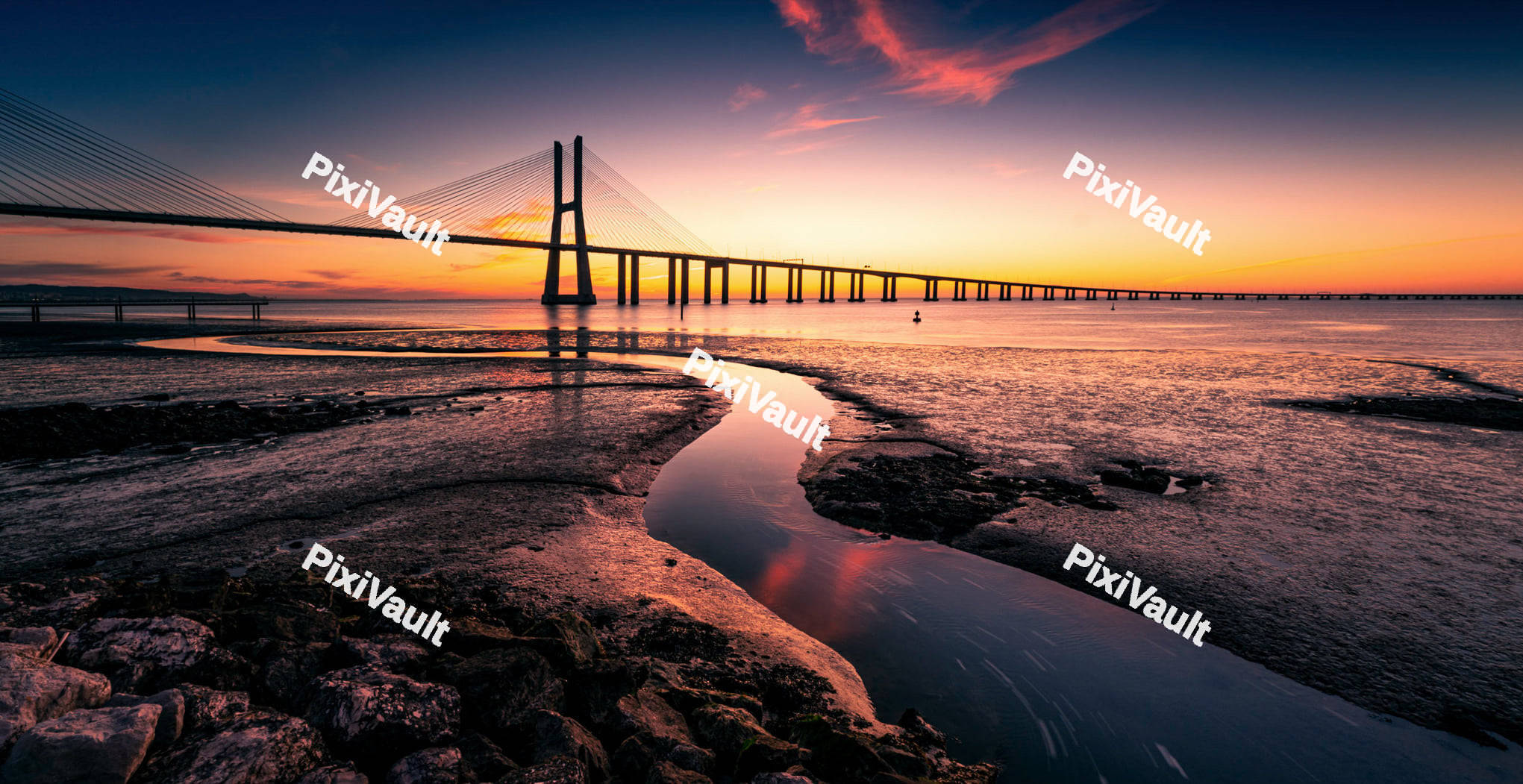 Vasco da Gama Bridge